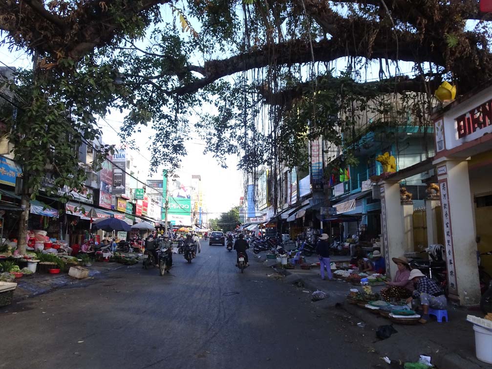 cây đa chợ Kon Tum city thành phố trên cao nguyên Việt Nam